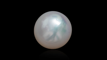 Venezuela Pearl8.96 Carats / 9.85 Ratti