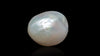 Venezuela Pearl12.49 Carats / 13.72 Ratti