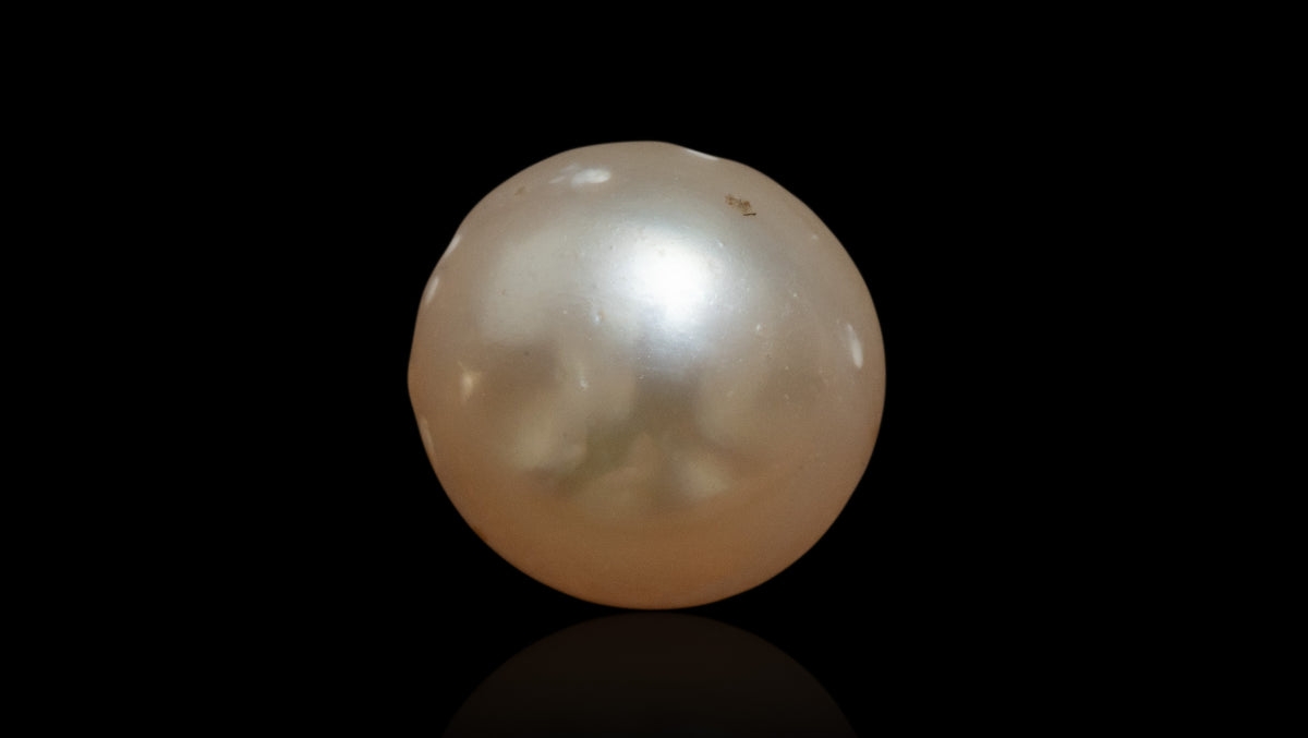 Venezuela Pearl4.80 Carats / 5.27 Ratti