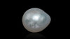 Venezuela Pearl5.21 Carats / 5.73 Ratti