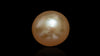 Venezuela Pearl4.84 Carats / 5.32 Ratti