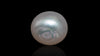 Venezuela Pearl7.95 Carats / 8.74 Ratti