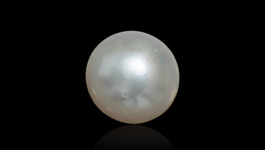 Venezuela Pearl10.43 Carats / 11.46 Ratti