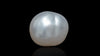 Venezuela Pearl6.70 Carats / 7.36 Ratti