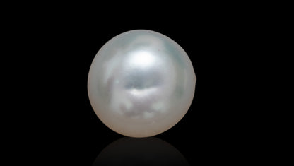 Venezuela Pearl6.63 Carats / 7.29 Ratti