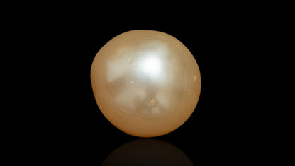 Venezuela Pearl4.01 Carats / 4.41 Ratti