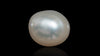 Venezuela Pearl7.00 Carats / 7.69 Ratti