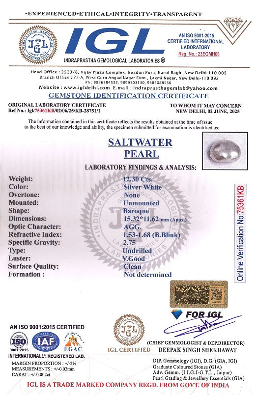 Venezuela Pearl12.30 Carats / 13.52 Ratti