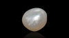 Venezuela Pearl7.84 Carats / 8.62 Ratti