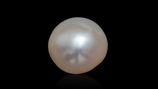 Venezuela Pearl6.17 Carats / 6.78 Ratti