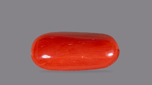 Italian Red Coral 5.91 Carats / 6.49 Ratti