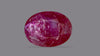 Mozambique Ruby (Manik) 2.92 Carats / 3.21 Ratti