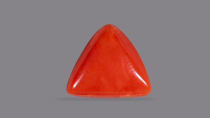 Italian Red Coral 6.22 Carats / 6.84 Ratti