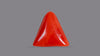 Italian Red Coral 6.95 Carats / 7.64 Ratti