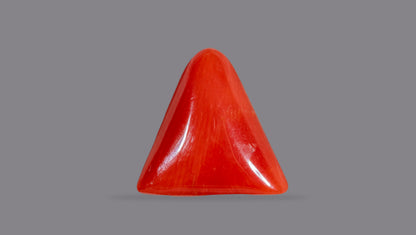 Italian Red Coral 6.95 Carats / 7.64 Ratti