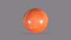 Japanese Red Coral (Moonga) 13.48 Carats / 14.81 Ratti
