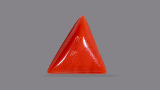 Italian Red Coral 6.27 Carats / 6.89 Ratti
