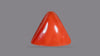 Italian Red Coral 9.67 Carats / 10.63 Ratti