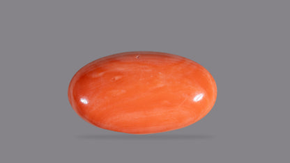 Japanese Red Coral 23.92 Carats / 26.29 Ratti