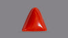 Italian Red Coral 6.54 Carats / 7.19 Ratti