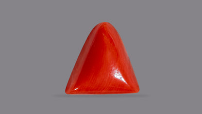 Italian Red Coral 6.54 Carats / 7.19 Ratti