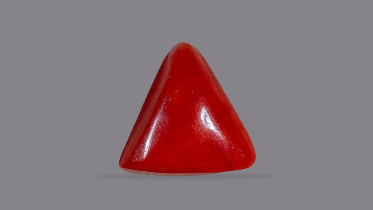 Japanese Red Coral 13.48 Carats / 16.24 Ratti