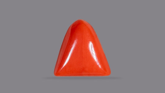 Italian Red Coral 7.15 Carats / 7.86 Ratti