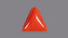 Italian Red Coral 6.29 Carats / 6.91 Ratti