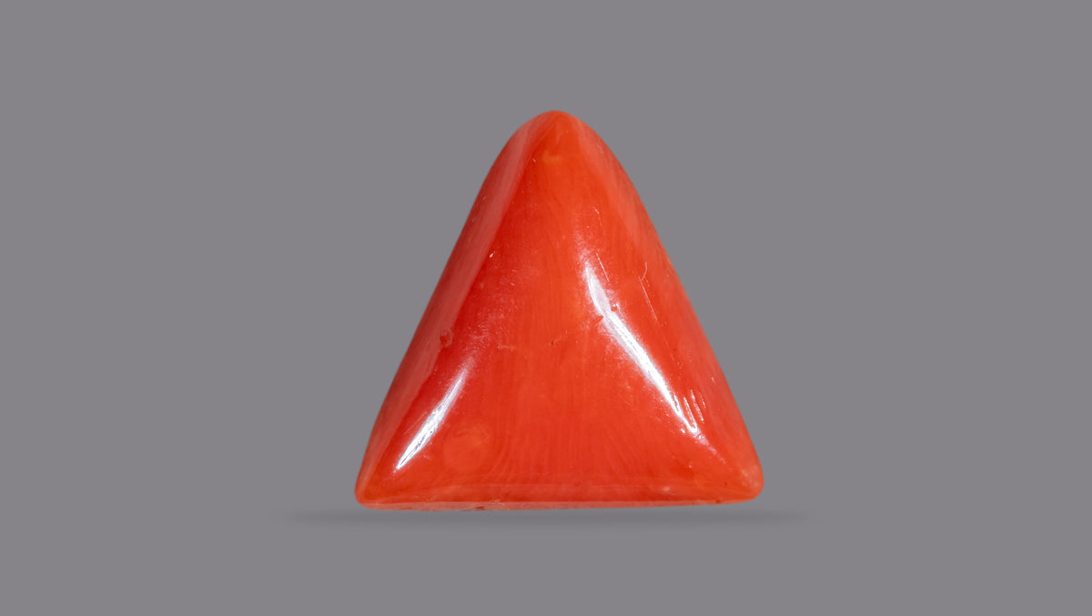 Italian Red Coral 6.29 Carats / 6.91 Ratti