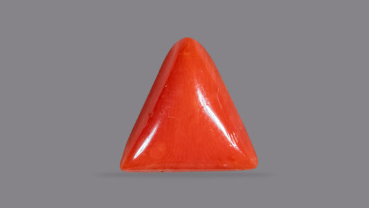 Italian Red Coral 6.29 Carats / 6.91 Ratti