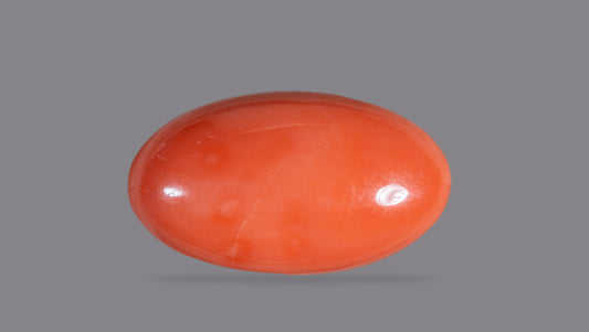 Japanese Red Coral 46.06 Carats / 50.62 Ratti