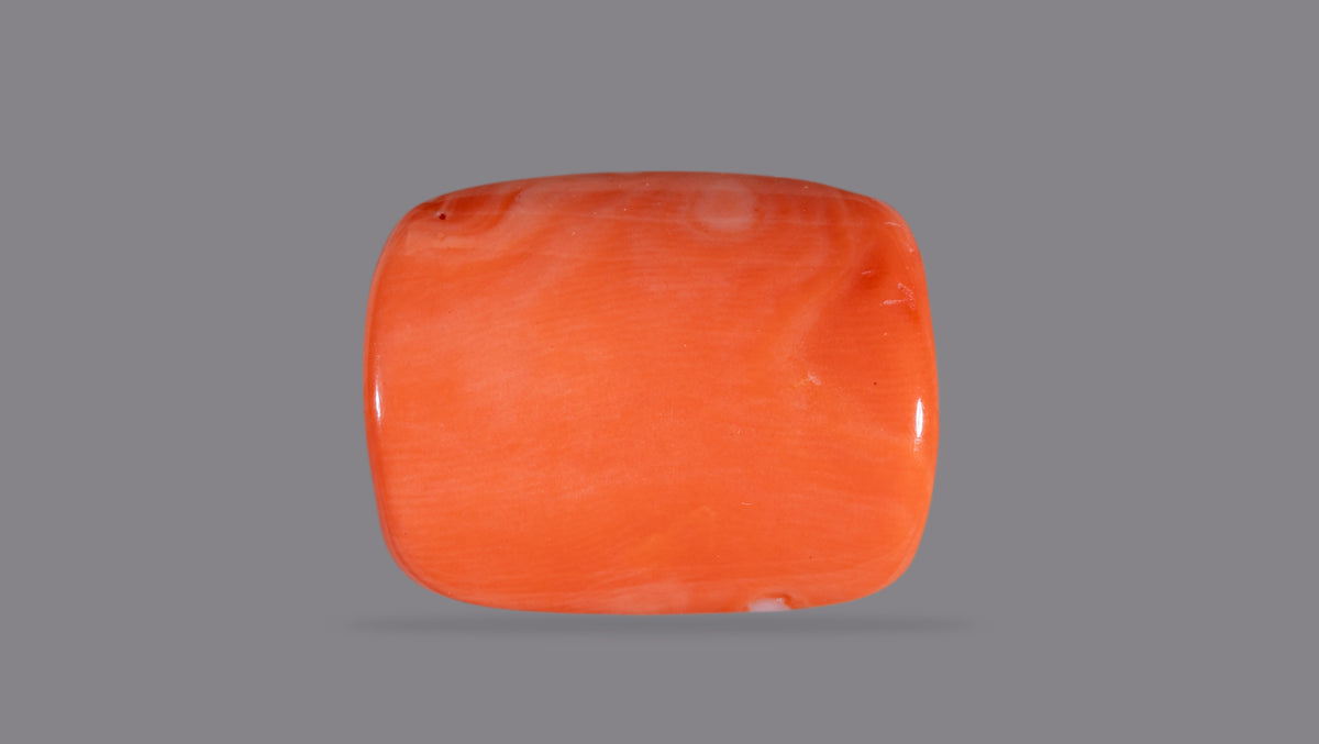 Japanese Red Coral 21.15 Carats / 23.24 Ratti