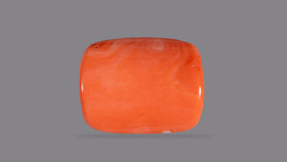 Japanese Red Coral 21.15 Carats / 23.24 Ratti