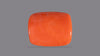 Japanese Red Coral 19.90 Carats / 21.87 Ratti