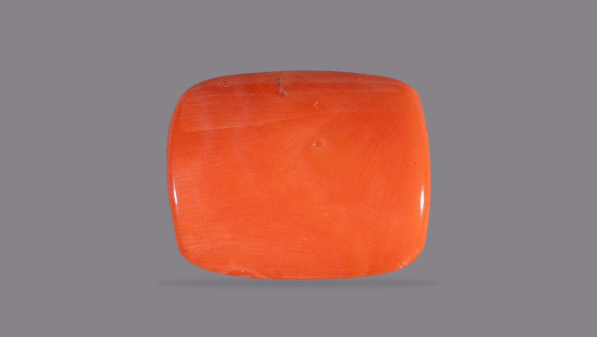 Japanese Red Coral 19.90 Carats / 21.87 Ratti