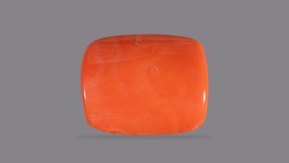 Japanese Red Coral 19.90 Carats / 21.87 Ratti