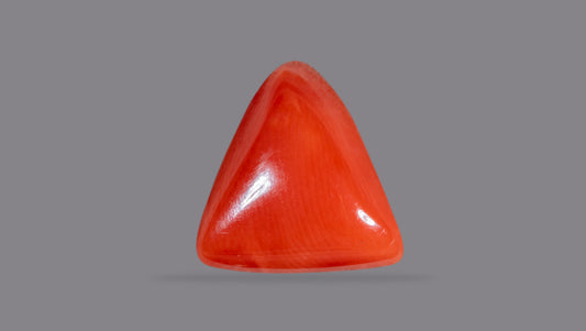 Italian Red Coral 5.86 Carats / 6.44 Ratti