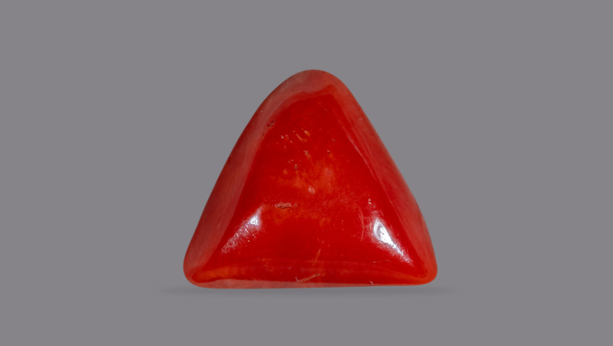 Italian Red Coral 6.28 Carats / 6.9 Ratti