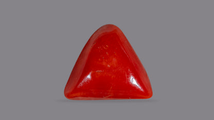 Italian Red Coral 6.28 Carats / 6.9 Ratti
