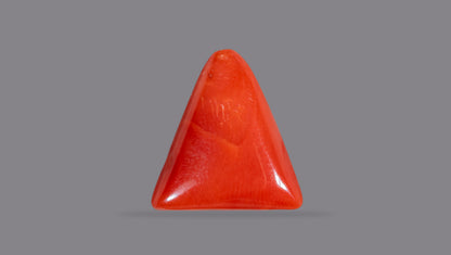 Italian Red Coral 6.42 Carats / 7.05 Ratti