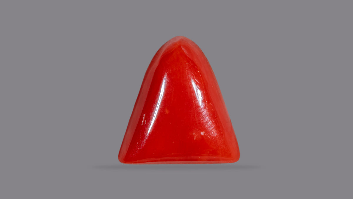 Italian Red Coral 6.45 Carats / 7.09 Ratti