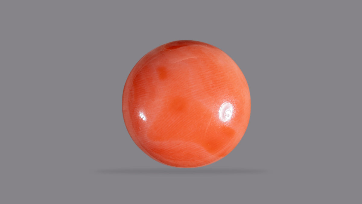 Japanese Red Coral 14.79 Carats / 16.25 Ratti