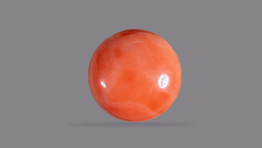 Japanese Red Coral 14.79 Carats / 16.25 Ratti