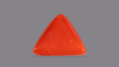 Italian Red Coral 7.05 Carats / 7.75 Ratti