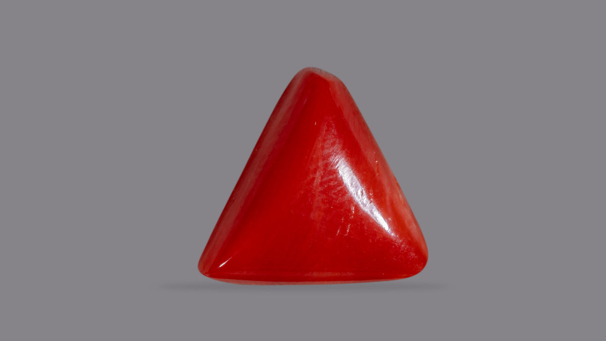 Italian Red Coral 6.16 Carats / 6.77 Ratti