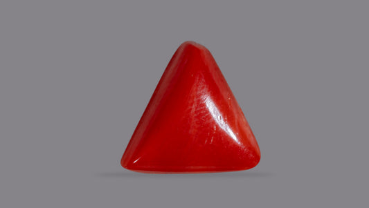 Italian Red Coral 6.16 Carats / 6.77 Ratti