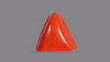 Italian Red Coral 6.75 Carats / 7.42 Ratti