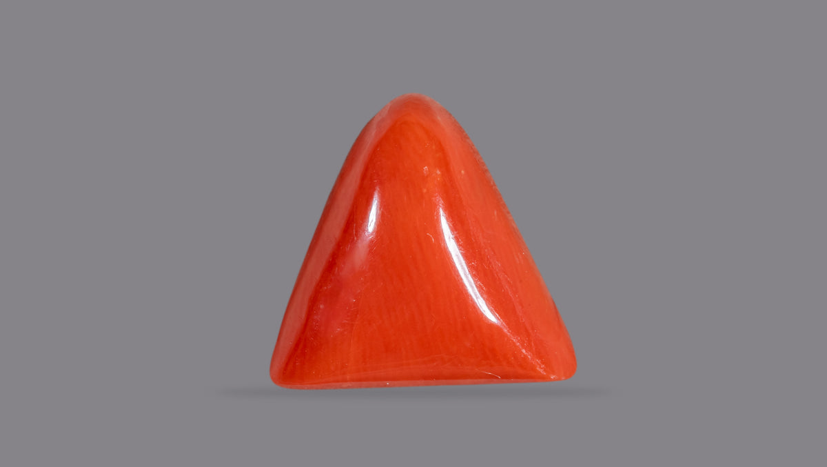 Italian Red Coral 6.75 Carats / 7.42 Ratti