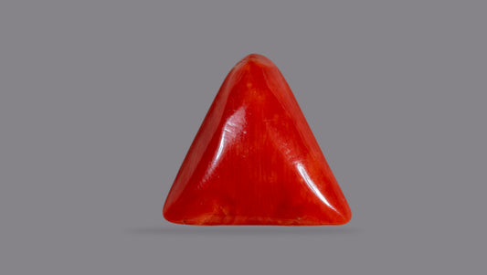 Italian Red Coral 11.81 Carats / 12.98 Ratti