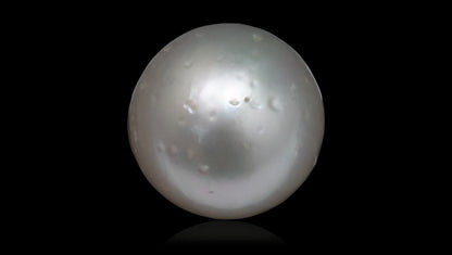 South Sea Pearl7.86 Carats / 8.64 Ratti
